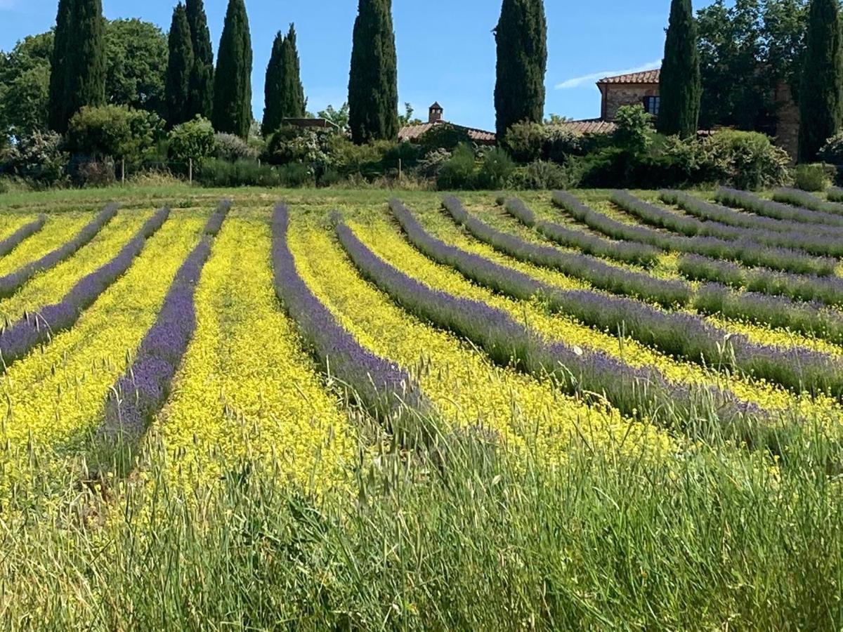 Agriturismo Pometti - Fattoria La Selva Trequanda Exteriér fotografie