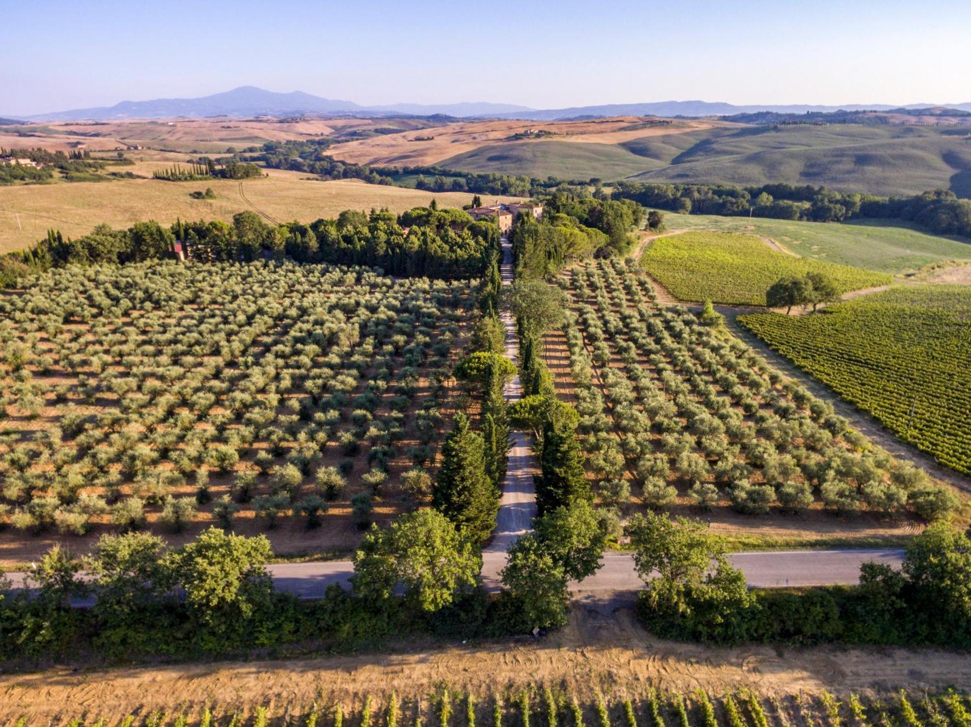 Agriturismo Pometti - Fattoria La Selva Trequanda Exteriér fotografie