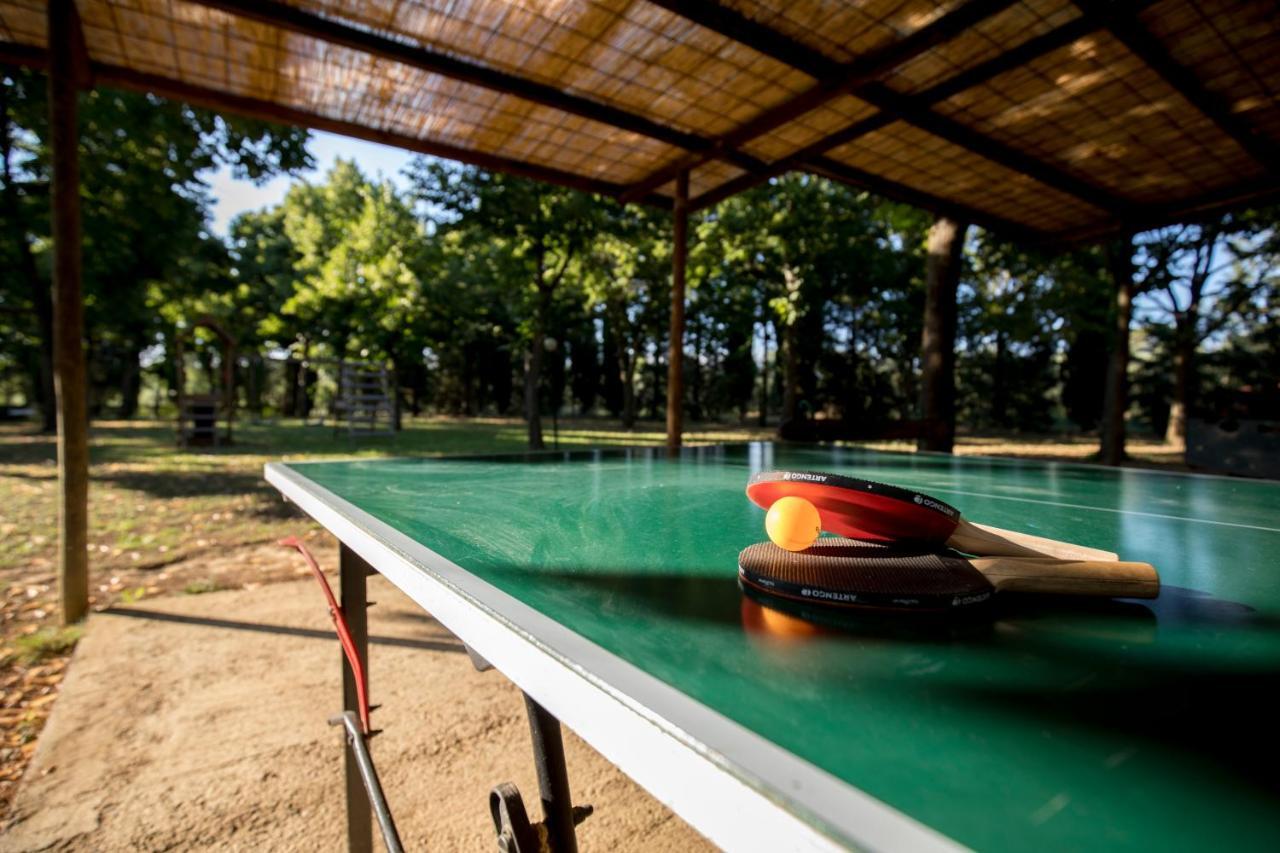 Agriturismo Pometti - Fattoria La Selva Trequanda Exteriér fotografie