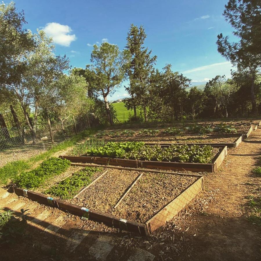 Agriturismo Pometti - Fattoria La Selva Trequanda Exteriér fotografie
